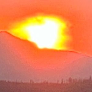 Meet your Posher, Lynn